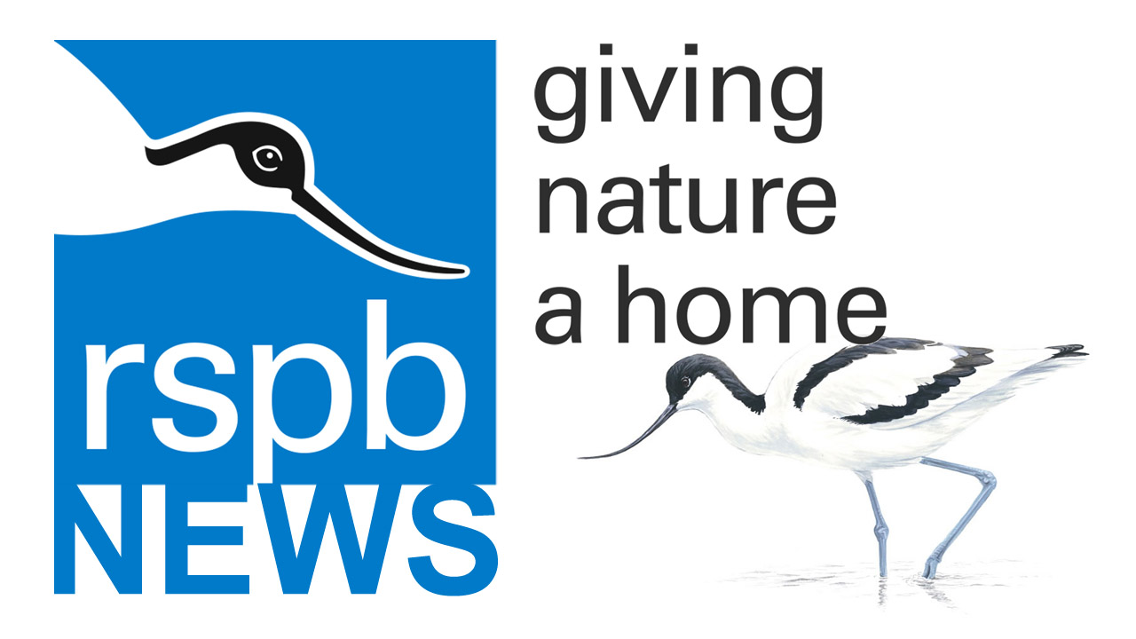 RSPB - Celebrating over 100 years of saving nature through campaigns